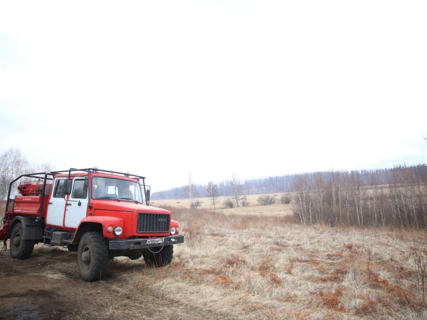 Семь крупных лесных пожаров локализовано в Забайкалье 